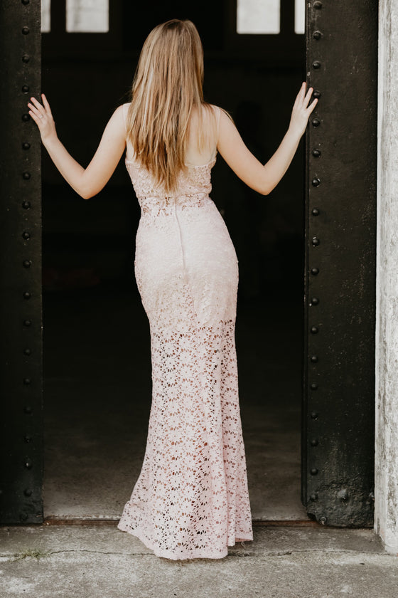 Dion Blush Lace Dress
